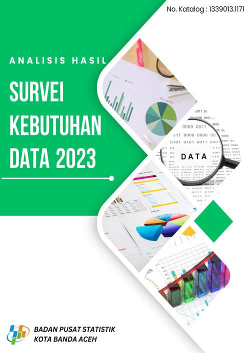 ANALYSIS OF DATA REQUIREMENT SURVEY RESULTS BPS BANDA ACEH MUNICIPALITY 2023